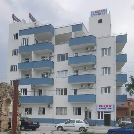 Cesur Apartment *